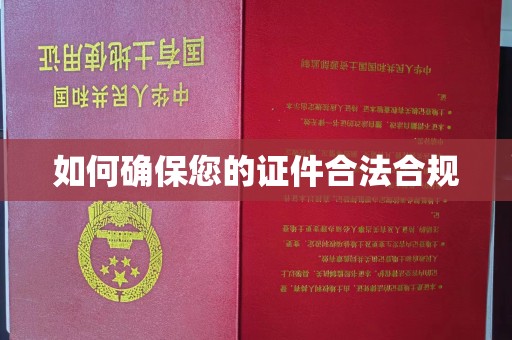 迭部如何确保您的证件合法合规
